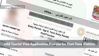 Close-up of UAE eVisa entry permit with official stamps and details