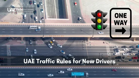 Aerial shot showing traffic lights and a one-way sign in UAE for new drivers.
