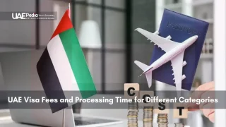 UAE flag, passport, and airplane model represent visa costs and procedures