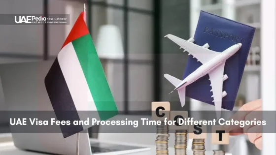 UAE flag, passport, and airplane model represent visa costs and procedures