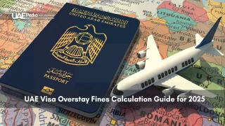 UAE passport and airplane over a world map