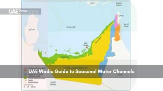 Map of UAE showing wadi regions and seasonal water channels