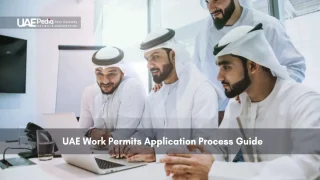 Group of Professionals Discussing Work Permits in UAE