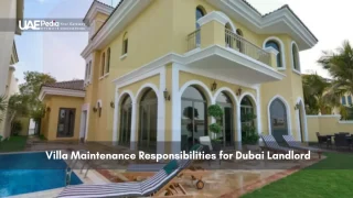 Luxury villa exterior with pool and sun loungers in Dubai