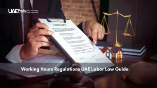 Lawyer showing UAE labor contract and working hours policy