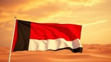 history of the uae flag