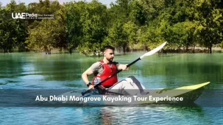 Man kayaking through the serene mangrove forest in Abu Dhabi