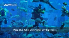 Scuba Diving in Deep Dive Dubai Underwater City
