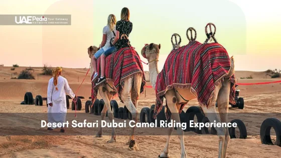 Tourists riding camels through Dubai’s desert safari trail