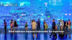 People watching marine life in Dubai Aquarium