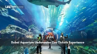 Visitors walking through the underwater tunnel of Dubai Aquarium.