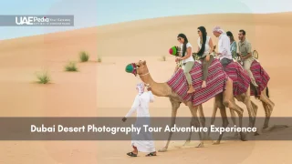 Tourists riding camels in Dubai desert on photography tour