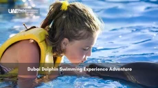 Child swimming with a dolphin in Dubai's aquatic park.