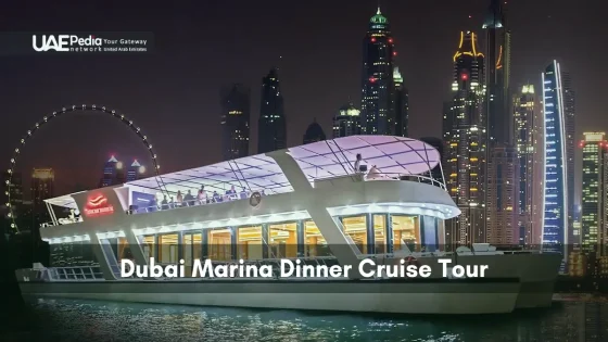 White illuminated yacht glides through Dubai Marina waters with lit skyscrapers at night.