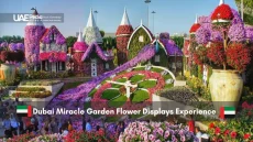 Floral castles and colorful flower displays at Dubai Miracle Garden