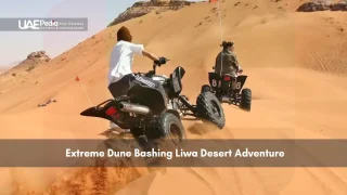People riding ATVs on sand dunes in the Liwa desert.