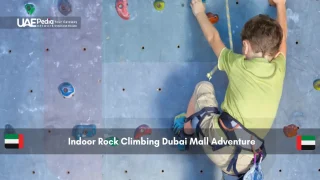 Child in safety harness climbing an indoor rock wall.