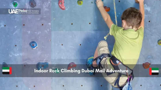 Child in safety harness climbing an indoor rock wall.