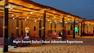 Dubai Night Desert Safari Experience