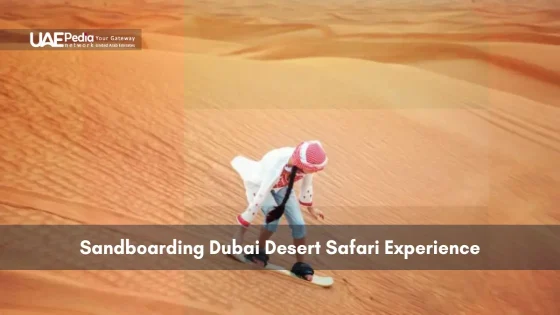 Person sandboarding in Dubai desert
