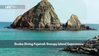 Scuba Diving in Deep Dive Dubai Underwater City