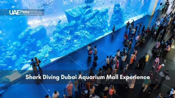 People watching a massive shark tank at Dubai Mall Aquarium