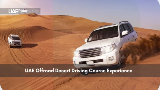 White SUV navigating desert dunes in offroad driving course