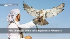 Man in traditional attire holding falcon in Abu Dhabi desert
