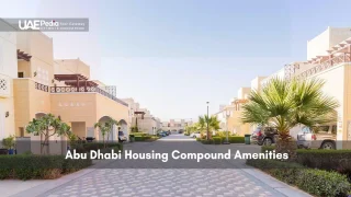 Street view of Abu Dhabi housing compound with villas and palm trees