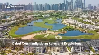 Aerial view of Dubai community with lakes and housing