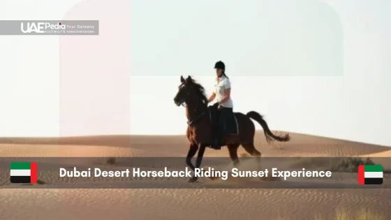 Person horseback riding in Dubai desert at sunset