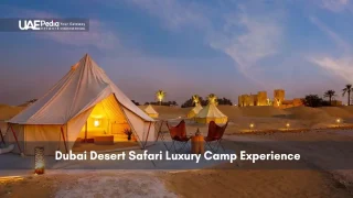 Glamping tents illuminated in Dubai desert at twilight