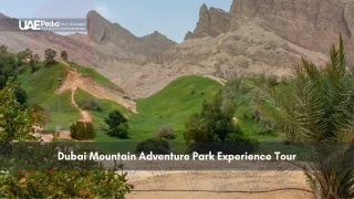 Green adventure park in Dubai with mountains in background
