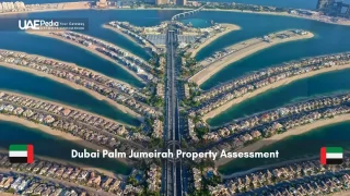 Palm Jumeirah aerial view showing fronds with luxury villas and roads