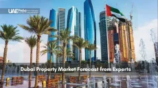 Dubai skyline with modern skyscrapers and UAE flag