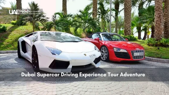 White Lamborghini and red Audi parked in palm-lined Dubai location