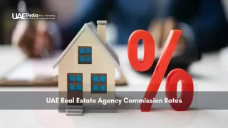 Hands holding a small house model symbolizing Dubai title deed verification process