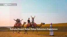 Tourists riding camels on Dubai desert safari