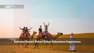 Tourists riding camels on Dubai desert safari
