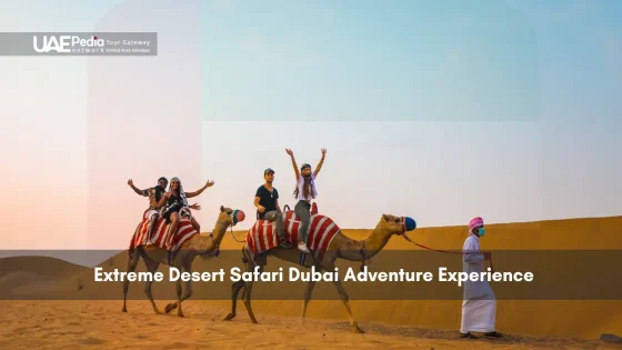Tourists riding camels on Dubai desert safari