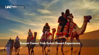 Tourists riding camels in desert at sunset