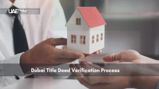 House model beside a percentage symbol representing real estate commission rates