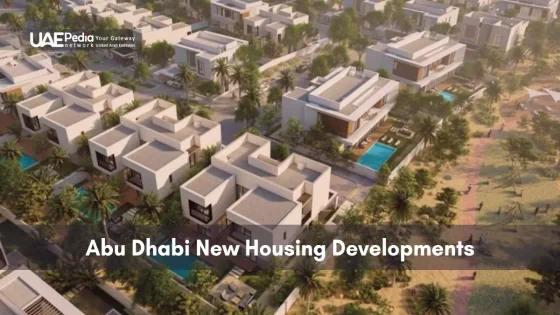 Bird’s-eye view of sleek villas with private pools and palm-lined gardens in Abu Dhabi.