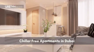 Spacious apartment living room with marble tile flooring, minimalist seating and accent décor.