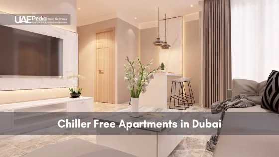 Spacious apartment living room with marble tile flooring, minimalist seating and accent décor.