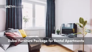 Interior of a rented Dubai apartment showing sofa, cushions, TV console and houseplant.