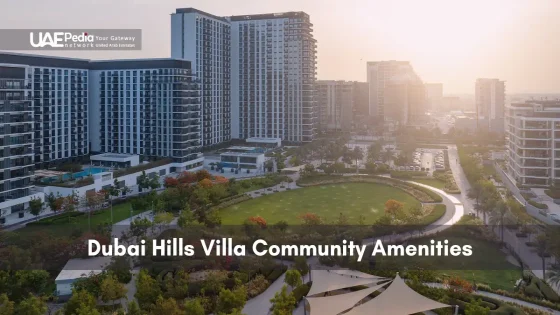View over Dubai Hills community showing park lawns, pathways and surrounding villa buildings.