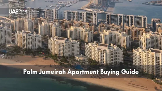Bird’s-eye aerial shot of Palm Jumeirah luxury apartments with private beaches and water view.