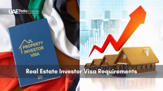 Investors visa booklet on UAE flag with arrow trending upward over houses.