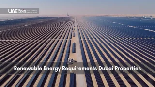 Rows of solar panels stretching across desert terrain at Dubai’s Mohammed bin Rashid Solar Park.